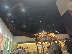 -衢州市博物馆