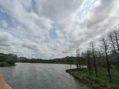 -广东花都湖国家湿地公园