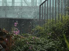 -旧天堂书店(华侨城创意文化园南山特色文化街区店)