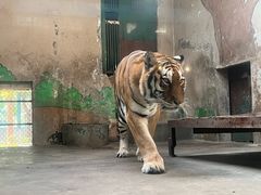 -天津市动物园