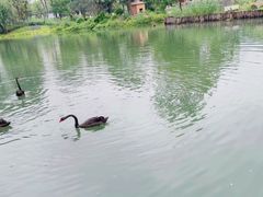 -武汉动物园