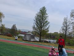 -羊亭河湿地公园