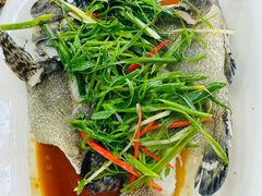 -众味海鲜大排档·活海鲜·潮汕味(南澳店)
