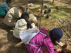 -北极村旅游风景区