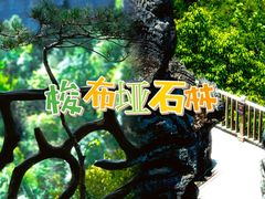 -梭布垭石林景区