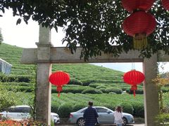 -听风阁农家私房菜茶楼(龙坞店)