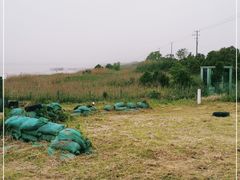 -春花秋色城市公园