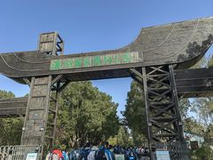 -溱湖国家湿地公园