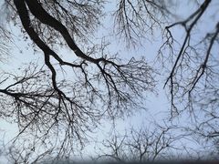 -大兴滨河森林公园