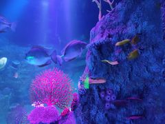 -沈阳海洋探索中心