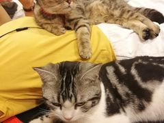 -炼呗运动康复·健身工作室(紫竹桥店)