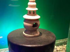 -丽思卡尔顿酒店泳池(金融街店)