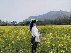 -都江堰石锅鱼