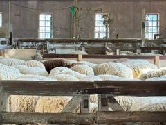 -神户市立六甲山牧场