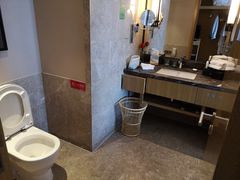 -徐州博顿温德姆酒店(高铁东站店)