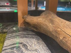 -木子塘汗蒸生活馆(财富港店)