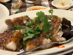 -文东记(马里士他路)