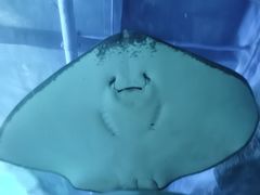 -石家庄海洋公园