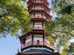 -绳金塔