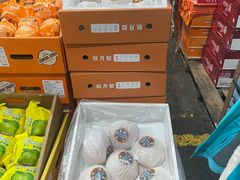 -西郊国际农产品交易中心