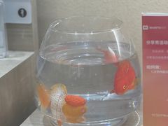 -海马体照相馆(重庆龙湖时代天街D馆店)