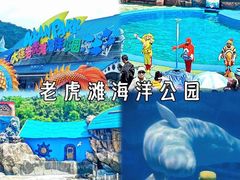 -大连老虎滩海洋公园
