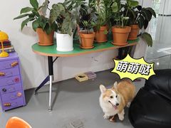 -LaFBagel手作烘焙工作室