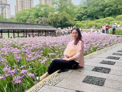 -龙头寺公园