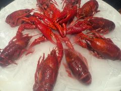 -红盔甲·小龙虾(人民广场店)
