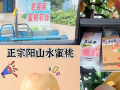 -老袁家蜜桃农场·阳山水蜜桃