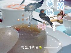 -燕庭·纯燕窝·甜品下午茶(南京西路店)