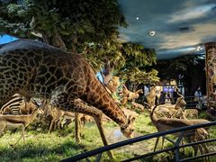 -国家自然博物馆