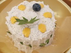 -野草莓自由市场