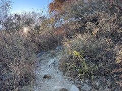 -北京西山国家森林公园