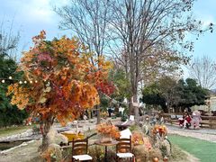 -HERRE·FARM 赫尔露营农场·团建聚会包场