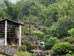 -天龙顶山地公园