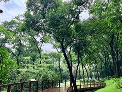 -云溪植物园