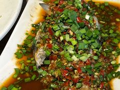 -老号尤兔头(幸福店)