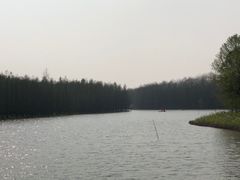 -上海海湾国家森林公园
