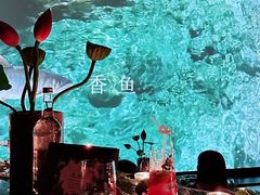 -地球美食剧场