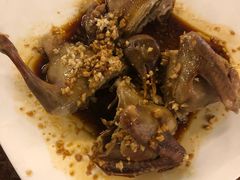-百利鸽王(紫薇路店)