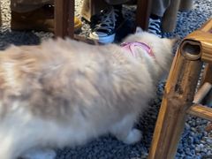 -Metal hands·铁手咖啡