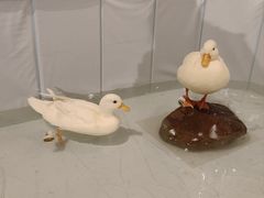 -太湖饭店玉兰厅(自助餐厅)