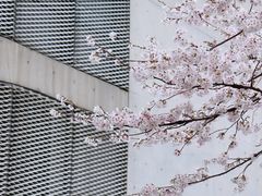 -龙美术馆(西岸馆)