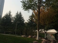 -西北湖绿化广场