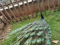 -昆明动物园