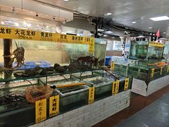 -寻味顺德·南记酒家·传统顺德菜·鱼生(广源路店)