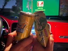 -枫花园汽车电影院(朝阳公园店)