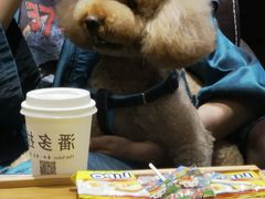 -八公叔叔宠物美容连锁(春申店)