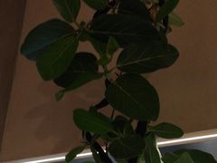 -陶享时光西餐·下午茶(信河街店)